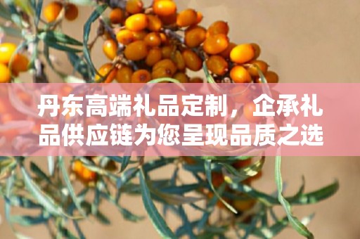 丹东高端礼品定制，企承礼品供应链为您呈现品质之选