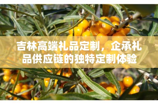吉林高端礼品定制，企承礼品供应链的独特定制体验