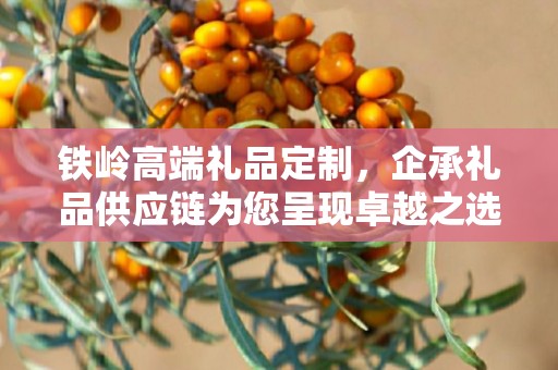 铁岭高端礼品定制，企承礼品供应链为您呈现卓越之选
