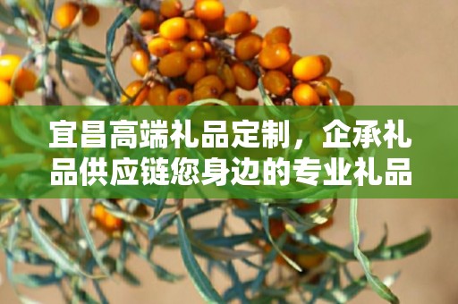 宜昌高端礼品定制，企承礼品供应链您身边的专业礼品定制公司