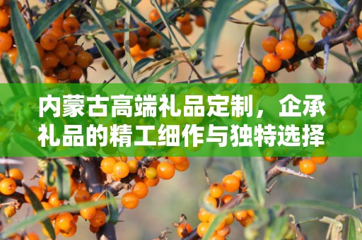 内蒙古高端礼品定制，企承礼品的精工细作与独特选择
