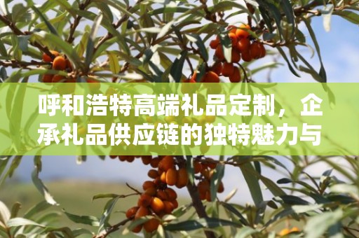 呼和浩特高端礼品定制，企承礼品供应链的独特魅力与定制之旅