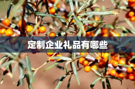 定制企业礼品有哪些