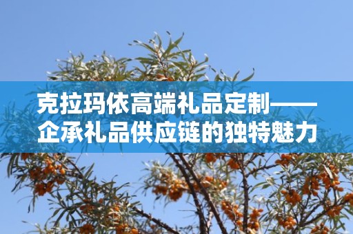 克拉玛依高端礼品定制——企承礼品供应链的独特魅力