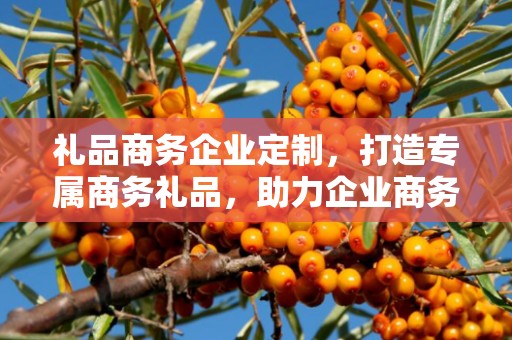 礼品商务企业定制，打造专属商务礼品，助力企业商务发展