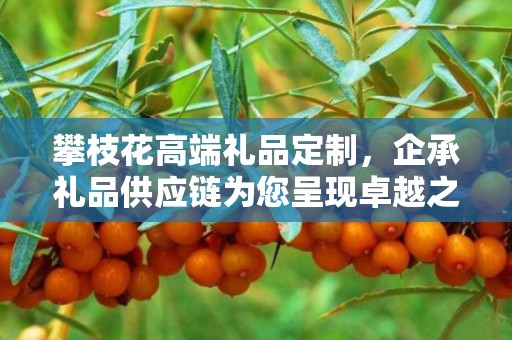 攀枝花高端礼品定制，企承礼品供应链为您呈现卓越之选