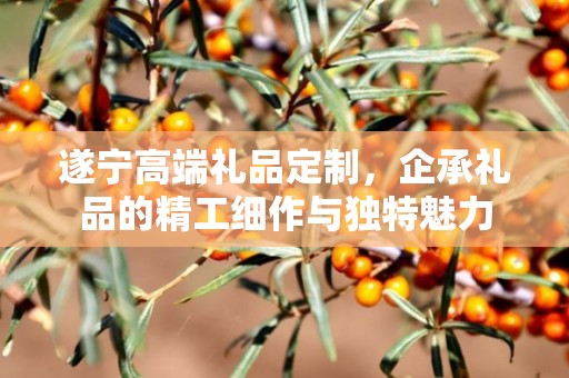 遂宁高端礼品定制，企承礼品的精工细作与独特魅力