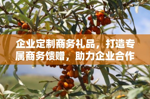 企业定制商务礼品，打造专属商务馈赠，助力企业合作与发展
