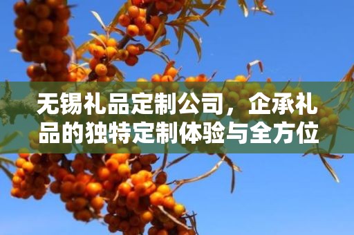 无锡礼品定制公司，企承礼品的独特定制体验与全方位供应链服务