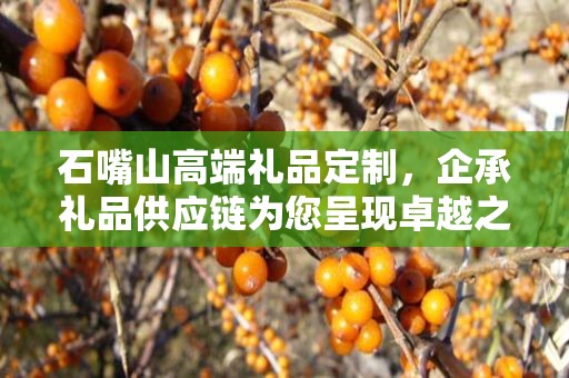 石嘴山高端礼品定制，企承礼品供应链为您呈现卓越之选