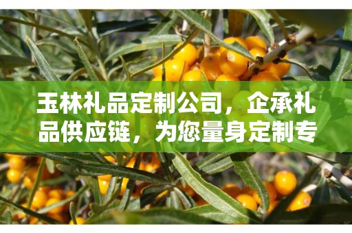 玉林礼品定制公司，企承礼品供应链，为您量身定制专属礼品