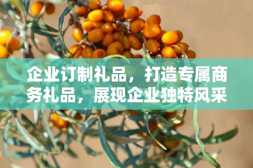 企业订制礼品，打造专属商务礼品，展现企业独特风采