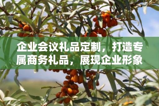 企业会议礼品定制，打造专属商务礼品，展现企业形象与品味