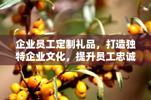 企业员工定制礼品，打造独特企业文化，提升员工忠诚度
