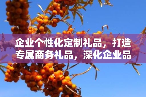 企业个性化定制礼品，打造专属商务礼品，深化企业品牌印象