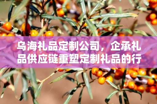 乌海礼品定制公司，企承礼品供应链重塑定制礼品的行业标杆