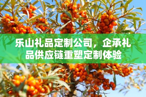 乐山礼品定制公司，企承礼品供应链重塑定制体验