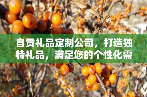自贡礼品定制公司，打造独特礼品，满足您的个性化需求