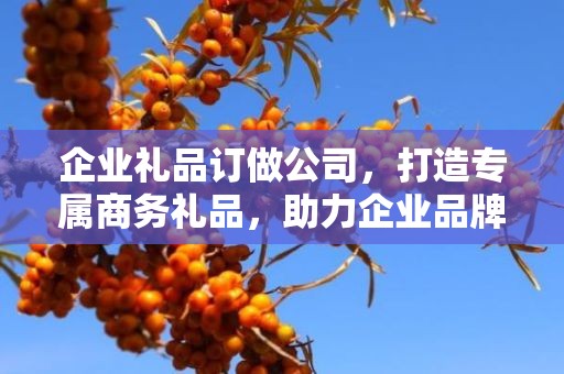 企业礼品订做公司，打造专属商务礼品，助力企业品牌发展