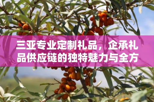 三亚专业定制礼品，企承礼品供应链的独特魅力与全方位服务