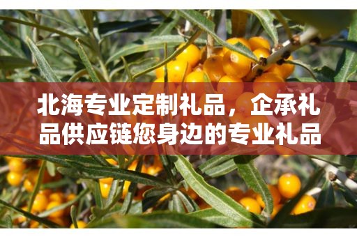 北海专业定制礼品，企承礼品供应链您身边的专业礼品定制公司