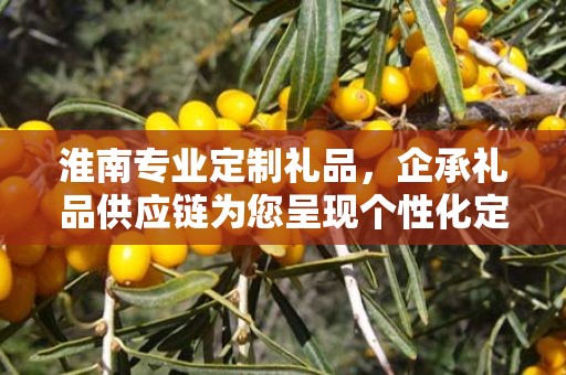 淮南专业定制礼品，企承礼品供应链为您呈现个性化定制体验