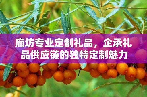 廊坊专业定制礼品，企承礼品供应链的独特定制魅力