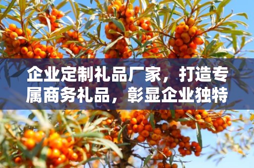 企业定制礼品厂家，打造专属商务礼品，彰显企业独特魅力