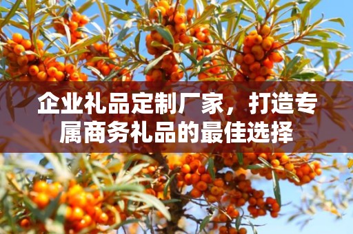 企业礼品定制厂家，打造专属商务礼品的最佳选择