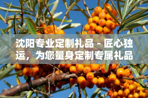 沈阳专业定制礼品 - 匠心独运，为您量身定制专属礼品
