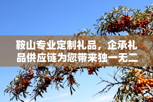 鞍山专业定制礼品，企承礼品供应链为您带来独一无二的礼品体验