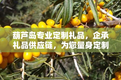 葫芦岛专业定制礼品，企承礼品供应链，为您量身定制专属礼品