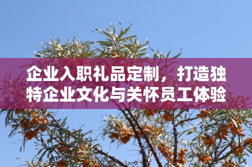 企业入职礼品定制，打造独特企业文化与关怀员工体验