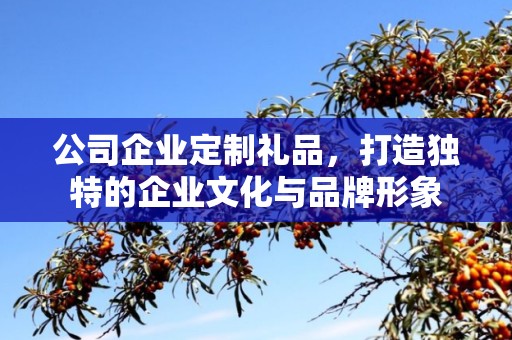 公司企业定制礼品，打造独特的企业文化与品牌形象