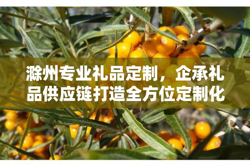 滁州专业礼品定制，企承礼品供应链打造全方位定制化服务
