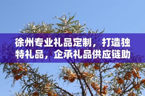 徐州专业礼品定制，打造独特礼品，企承礼品供应链助力商务发展