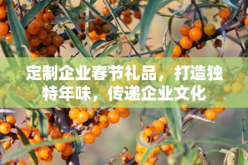 定制企业春节礼品，打造独特年味，传递企业文化