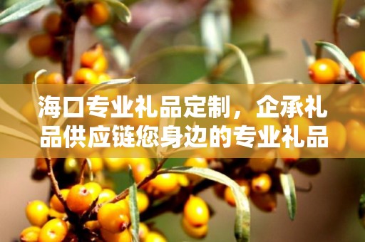 海口专业礼品定制，企承礼品供应链您身边的专业礼品定制公司