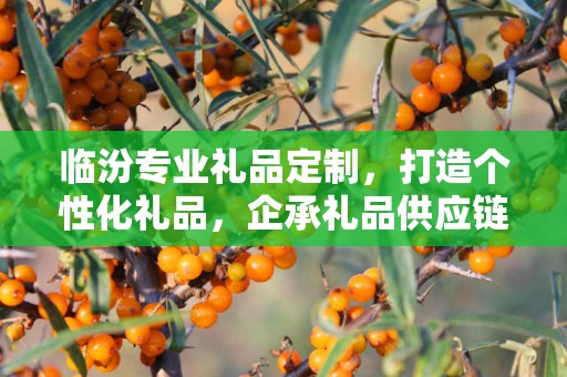 临汾专业礼品定制，打造个性化礼品，企承礼品供应链助力商务往来