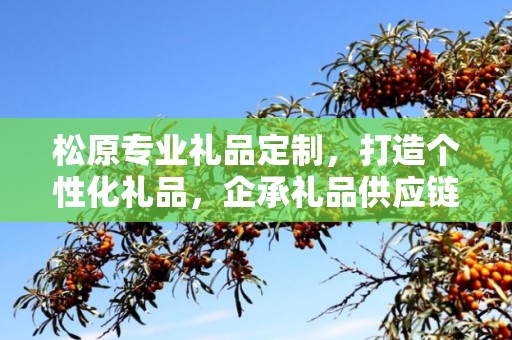松原专业礼品定制，打造个性化礼品，企承礼品供应链