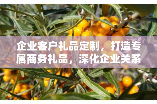 企业客户礼品定制，打造专属商务礼品，深化企业关系