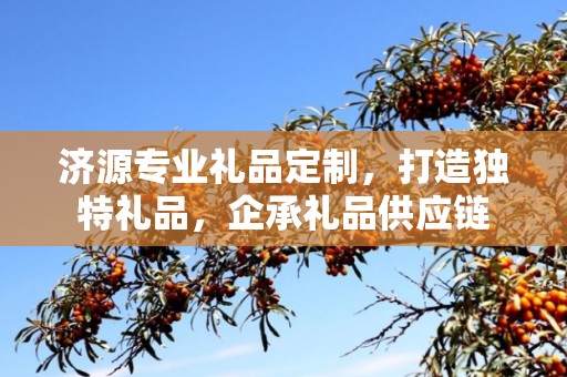 济源专业礼品定制，打造独特礼品，企承礼品供应链
