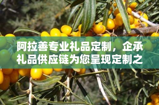 阿拉善专业礼品定制，企承礼品供应链为您呈现定制之魅力