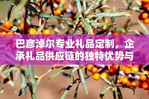 巴彦淖尔专业礼品定制，企承礼品供应链的独特优势与服务