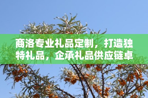 商洛专业礼品定制，打造独特礼品，企承礼品供应链卓越服务