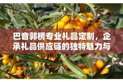 巴音郭楞专业礼品定制，企承礼品供应链的独特魅力与卓越服务