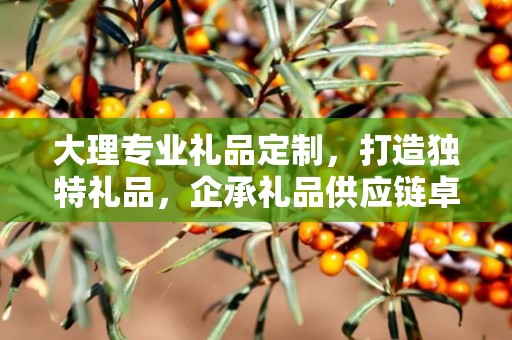 大理专业礼品定制，打造独特礼品，企承礼品供应链卓越服务