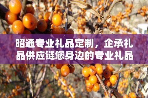 昭通专业礼品定制，企承礼品供应链您身边的专业礼品定制公司