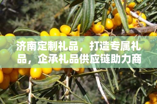 济南定制礼品，打造专属礼品，企承礼品供应链助力商务之选