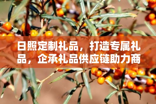 日照定制礼品，打造专属礼品，企承礼品供应链助力商务发展